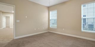 5168 Foxtail Pine Street Gallery 15