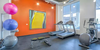 Nelson Kohl Gallery 14