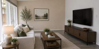 Dogwood Tri-Plex Gallery 1