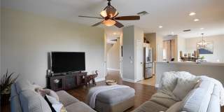 2059 Willow Branch Drive Gallery 4