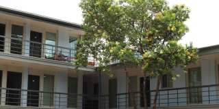 Penthouse Gallery 177
