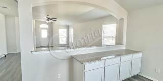 1307 Cesarina St. Gallery 14