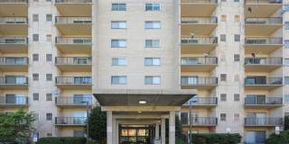 Spacious Ground Floor Condo in Silver Spring Gallery 23