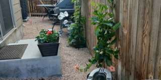Modern West Arvada End-Unit with Cul-de-Sac Privacy & 2-Car Garage Gallery 25