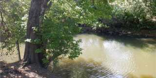 7234 Cherry Laurel Drive Gallery 26
