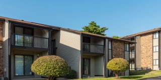 Whisper Hollow Gallery 31