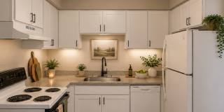 1501 Chapel Hill Road - A Gallery 1