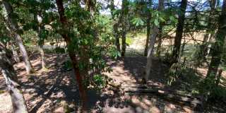 ALL UTILITIES INCLUDED! ~ 3 Bedroom 1 Bath Gallery 34