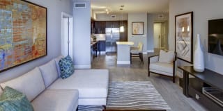 Sofia Coral Gables Gallery 22