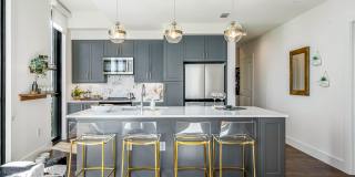 Aster Aster Gallery 20