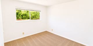Large 6 Bedroom - Huge Yard - Students Welcome Gallery 13