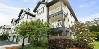 Village At Rice Hope Gallery 3