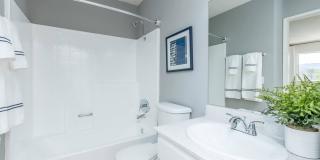 Park Sierra Gallery 24