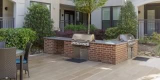 The Collection Gallery 11