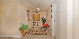 8922 Laguna Lane Gallery 4