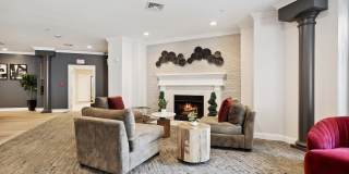 Arrive Stamford Gallery 15