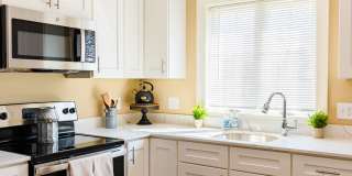 Paugus Woods Gallery 8