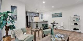 1428 Madison St Apt 209 Gallery 4