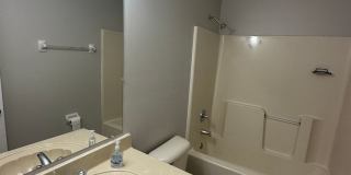 Available Now! 3 BR/ 2 BA newly renovated with NO CARPET in Shelby Woodlands Available Now! 3 BR/ 2 BA newly renovated with NO CARPET in Shelby Woodlands Gallery 15