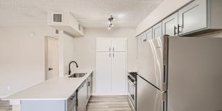 Rise Biltmore Gallery 12