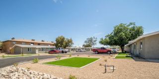Desert Green Gallery 14