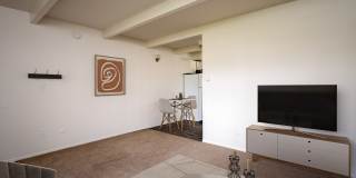 The Scholls Gallery 12