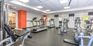 Glenview House Gallery 28