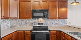 Pet Friendly Condo Downtown! Gallery 12