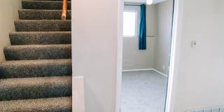 SMALL DOG FRIENDLY!!!  Meadow Street House Gallery 36