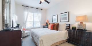 Domain at Kirby Gallery 31