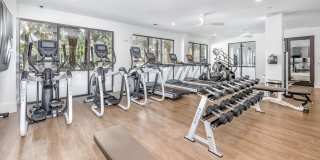 Essex Luxe Apartments Gallery 30