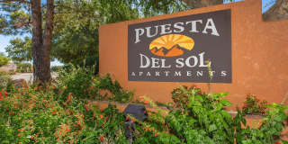 Puesta del Sol Gallery 1