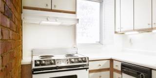 513 Shady Ave Gallery 12