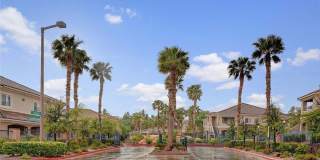 10524 Pine Gardens Court Gallery 1