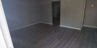 LIMITED TIME**1/2 OFF DEPOSIT** Gallery 1