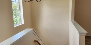 1119 Auburn Meadow Ln Gallery 5