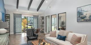 Paragon Luxury Apartments Gallery 7