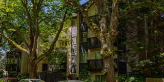 Tamarac Apartments Gallery 48