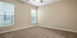 5168 Foxtail Pine Street Gallery 13