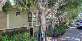 Sunny Potrero Hill 3BR / 1BA Townhome | Private Yard | YouTube Tour Gallery 1