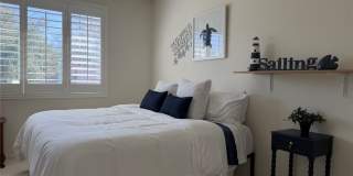 29657 Starring Gallery 16