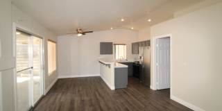 Showings Available NOW Gallery 6