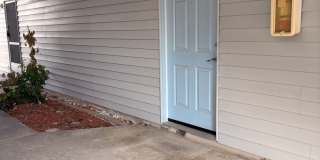 Indigo Pines Gallery 1