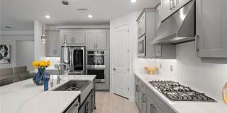 33875 CASTAWAY Loop Gallery 18