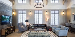 Shalimar at Davie Gallery 11