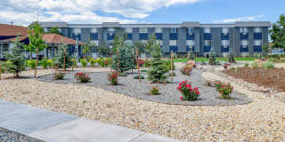 Kalo Woodmen Gallery 19