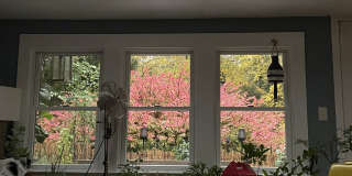 16 Crooked Mile Road Gallery 28
