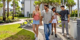 Portofino Vineyards Gallery 1