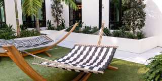 Aster & Links Gallery 8