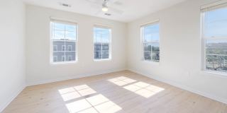 Alexan Harrison Apartments Gallery 163